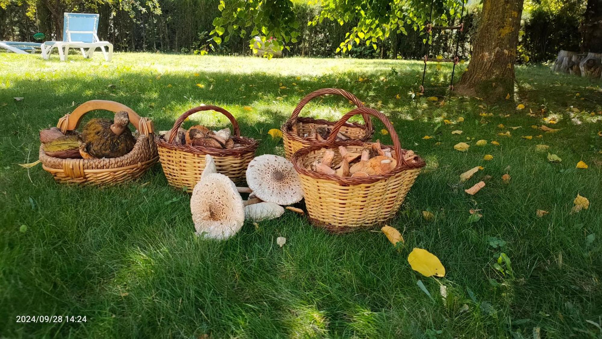 Apartament Cal Pastor De Planes Planoles Zewnętrze zdjęcie